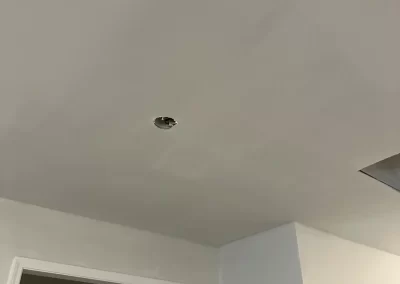 Painting Companies