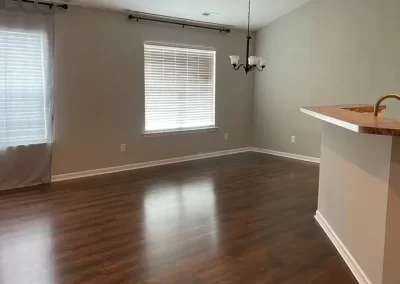 Professional Painter