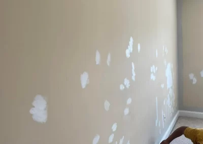 Professional Painters